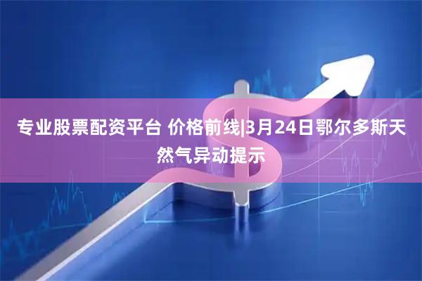 专业股票配资平台 价格前线|3月24日鄂尔多斯天然气异动提示